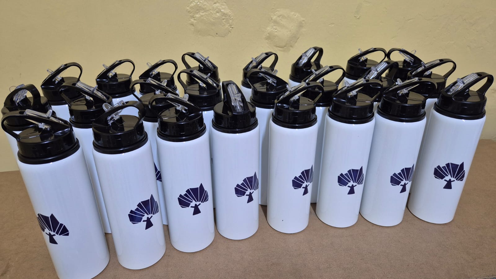 Branded sports bottles